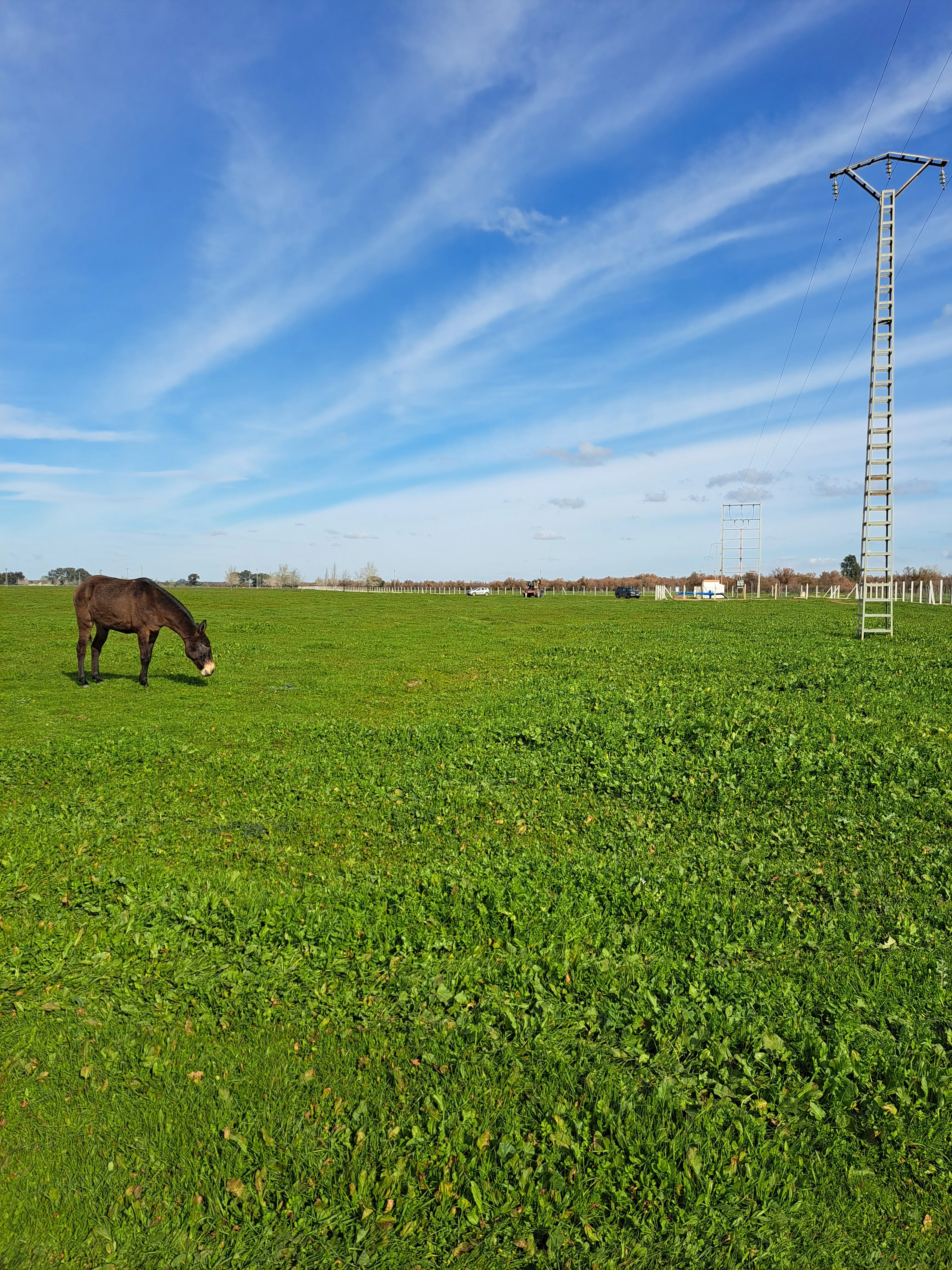 Biodiversity & Conservation