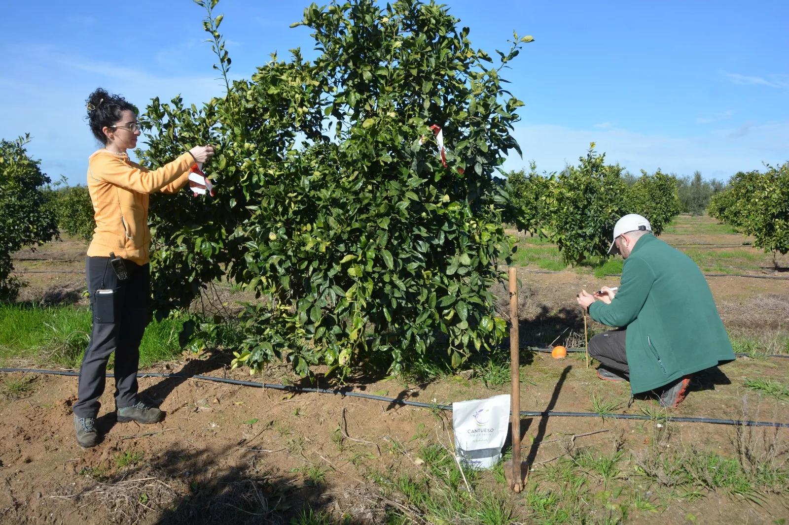 MESSY Lab Team collaboration