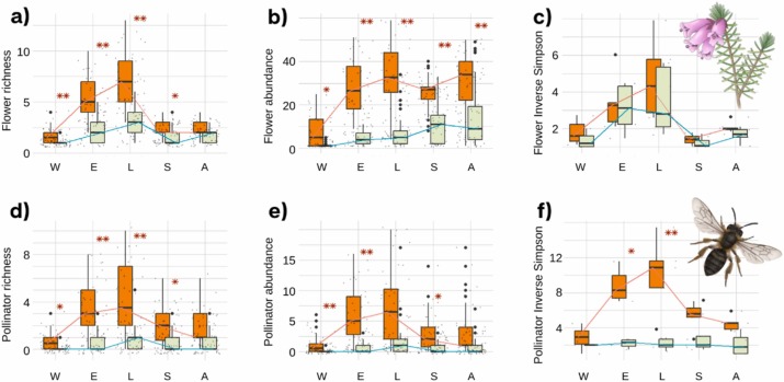 Beware of trees: Pine afforestation of a naturally treeless habitat reduces flower and pollinator diversity